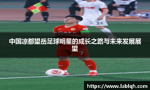 vwin德赢AC米兰合作